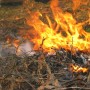 Brush and debris on fire