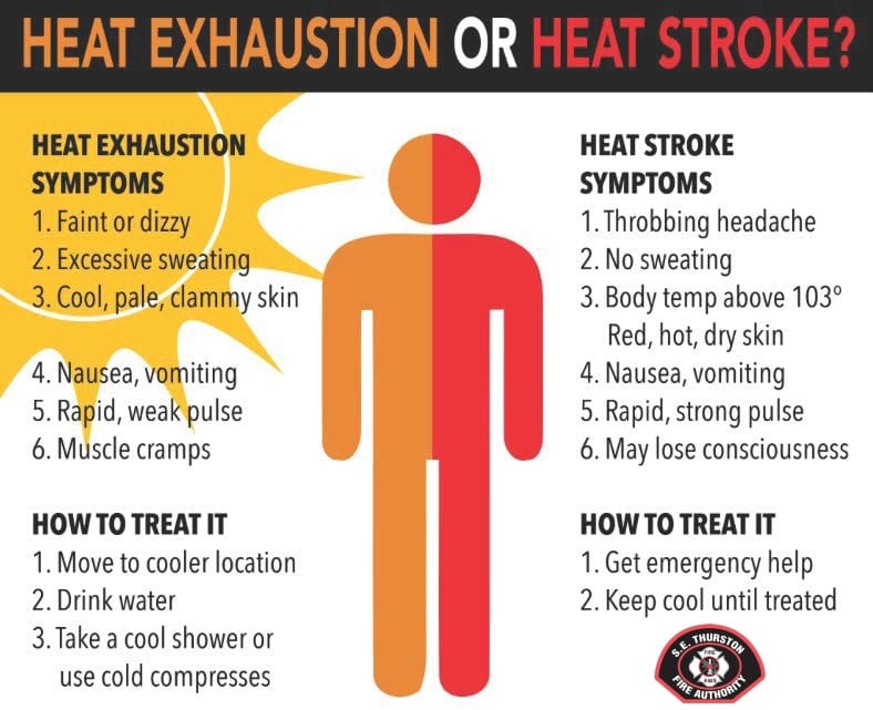 summer-temps-can-cause-heat-stroke-lexleader